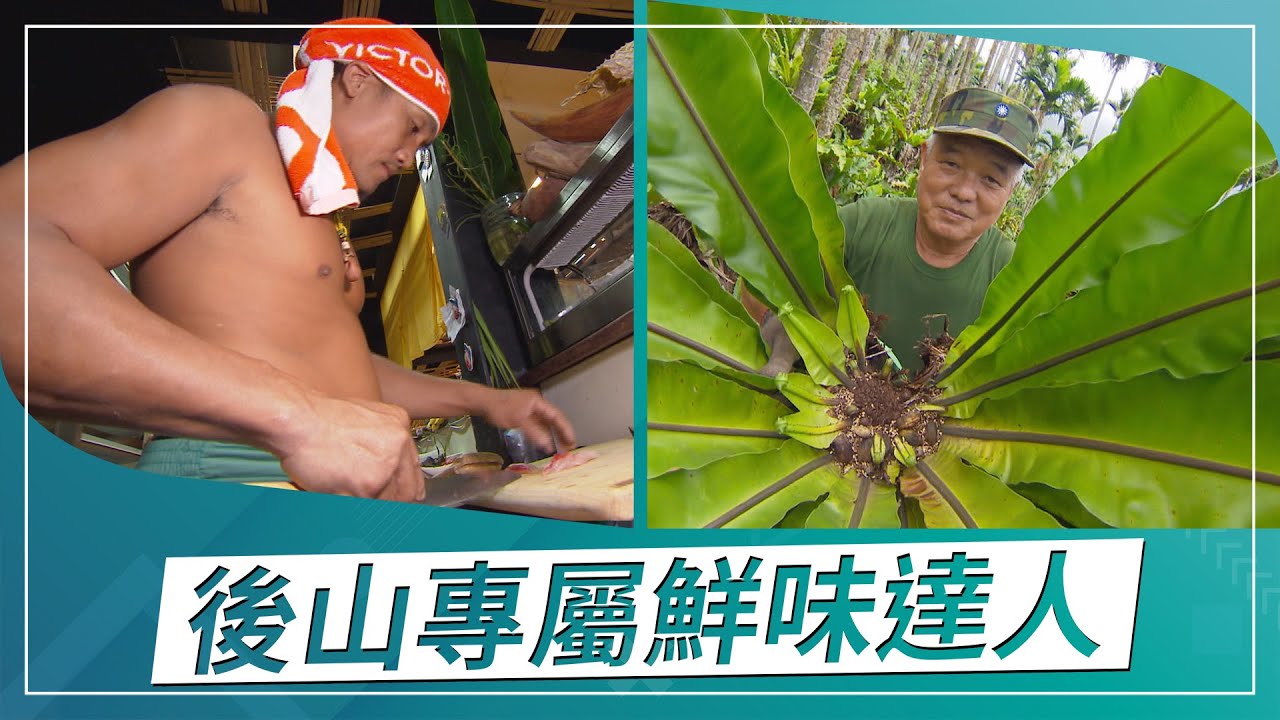 草地狀元-後山專屬鮮味達人!!!原民神廚VS老兵山蘇(2021.08.23播出)