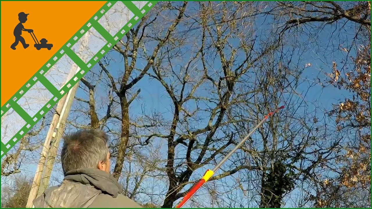 Forbicione a battente telescopico Wolf Garten: come funziona lo svettatoio allungabile fino a 3 m