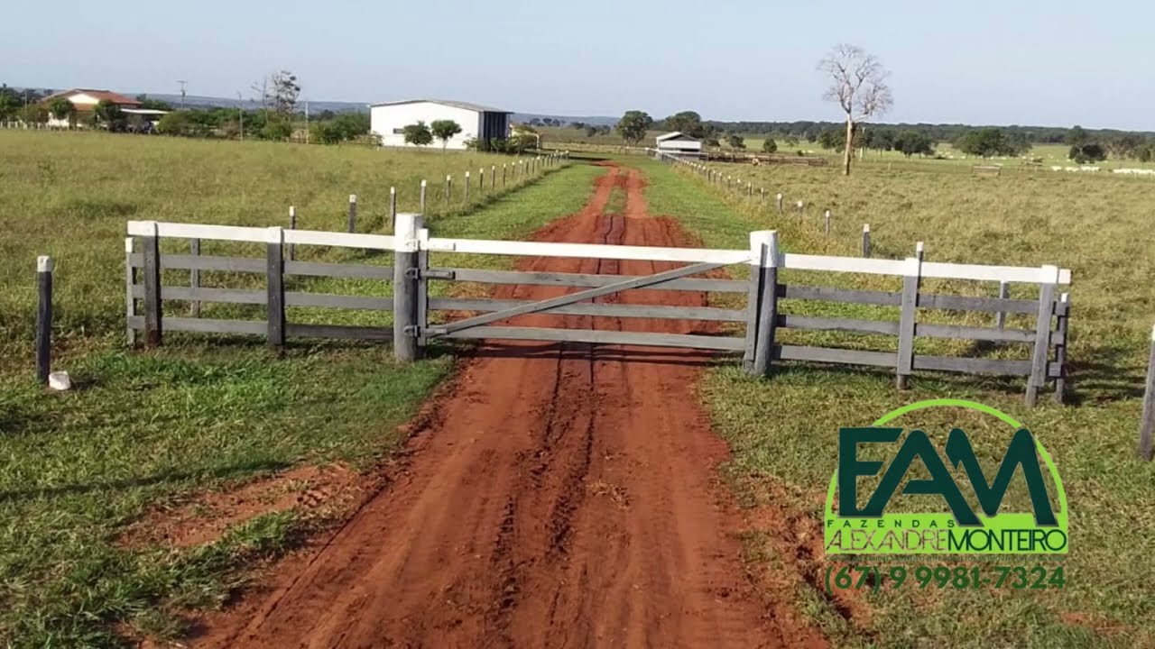 FAZENDA 2038 HA - DUPLA APTIDAO CAMPO GRANDE / NOVA ALVORADA- MS