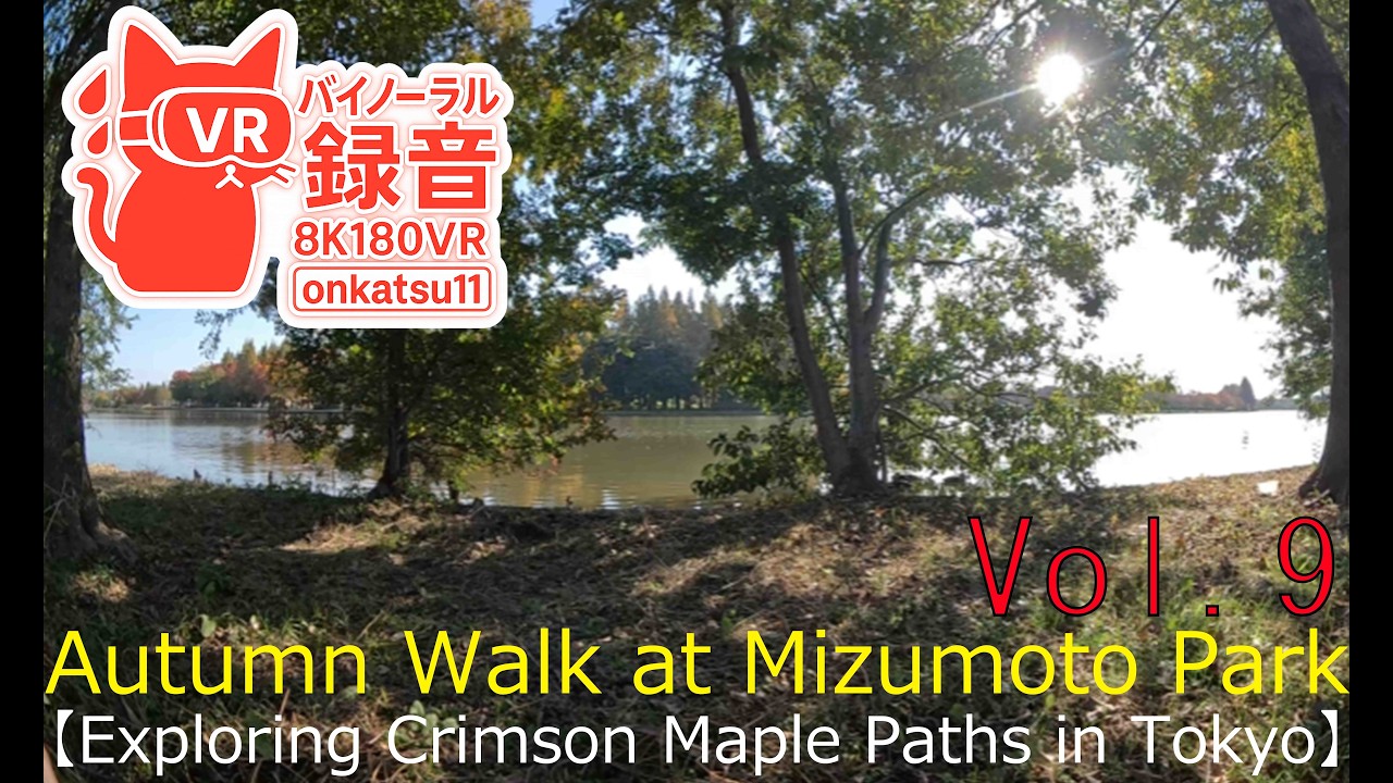 🍂 [Autumn Walk at Mizumoto Park — Exploring Crimson Maple Paths in Tokyo (8K VR180)]Chapter Nine‼