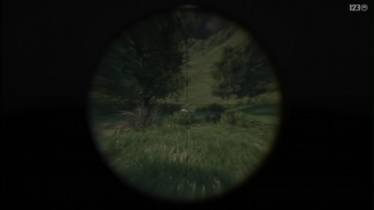 RDR2 MFT silver dapple pinto Chapter 2
