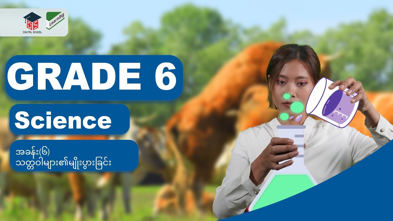 GRADE 6 / SCIENCE အခန်း(၆)-သတ္တဝါများ၏မျိုးပွားခြင်း
