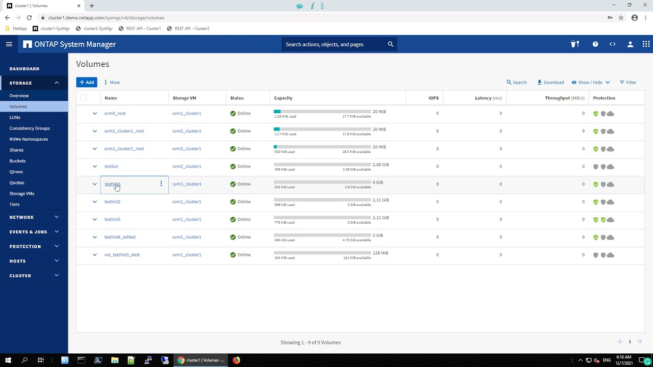 ONTAP 9.10.1 -  UX - Case 7 - Display Reclaimable Space After Snapshot Delete