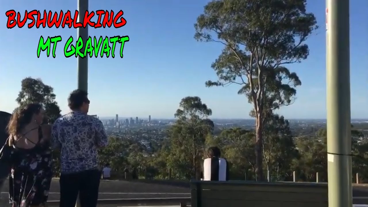 Bushwalking Adventure Mt Gravatt Brisbane Queensland