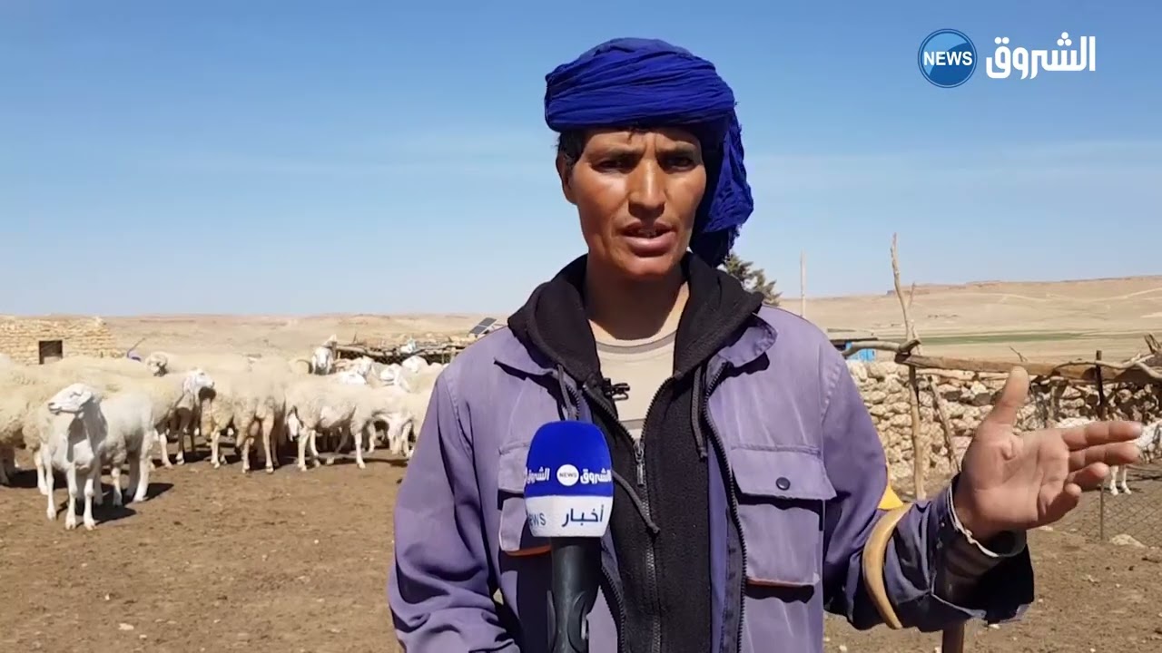 #تبسة| صالح.. راع متمسك بالمهنة رغم المشقة
