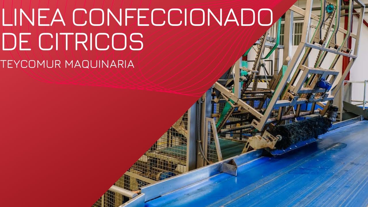 Venta maquinaria almacén confeccionado de cítricos