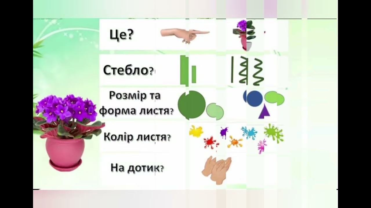 Заняття з розвитку мовлення 