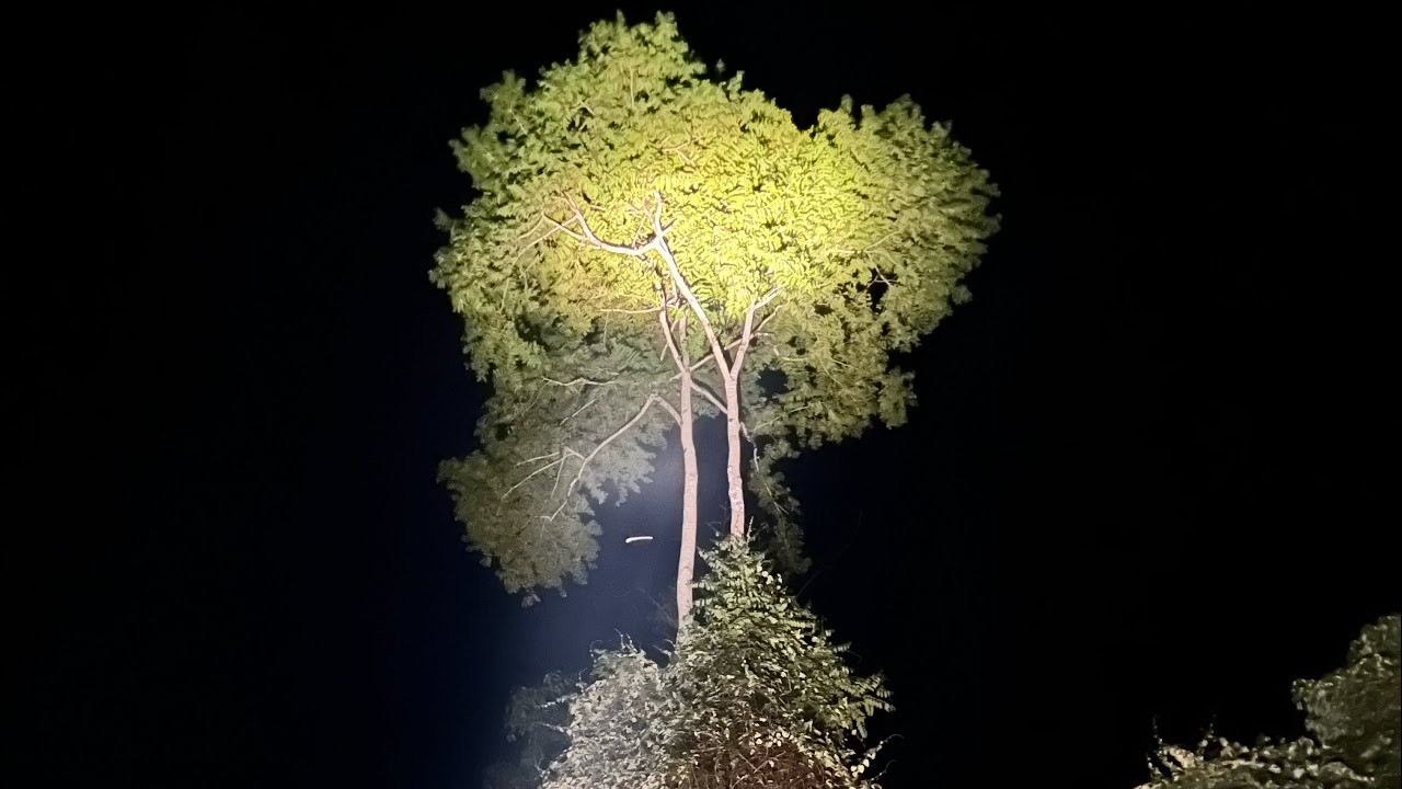 Борнео (Borneo) Долина Данум часть 1, Малайзия, Кота-Кинабалу, Сандакан, Сепилок, остров Селинган