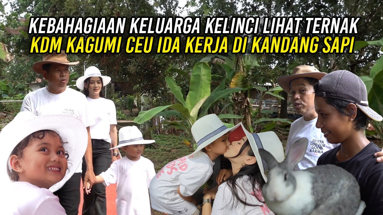 KEBAHAGIAAN KELUARGA KELINCI SAAT LIHAT TERNAK | KDM KAGUMI CEU IDA RELA KERJA DI KANDANG SAPI