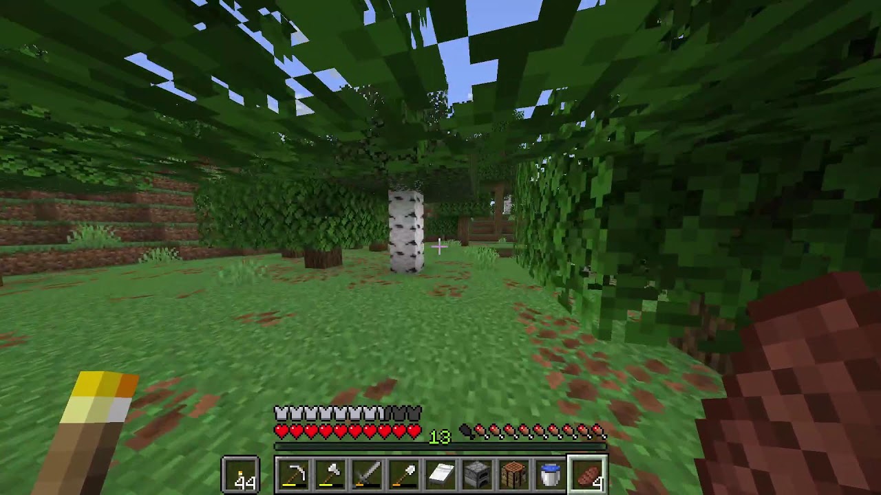 [マイクラ]初心者がエンドラ討伐!?!?