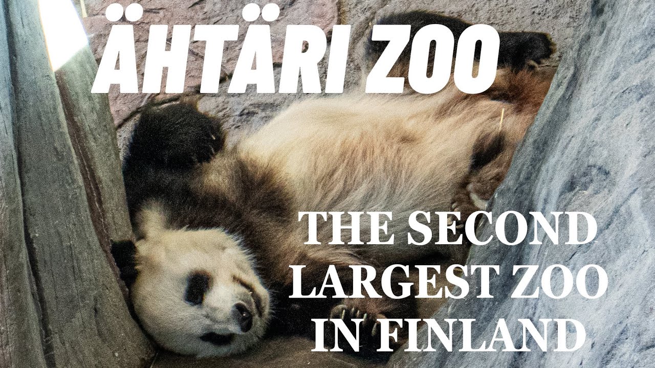 Visiting &Auml;HT&Auml;RI ZOO in Finland