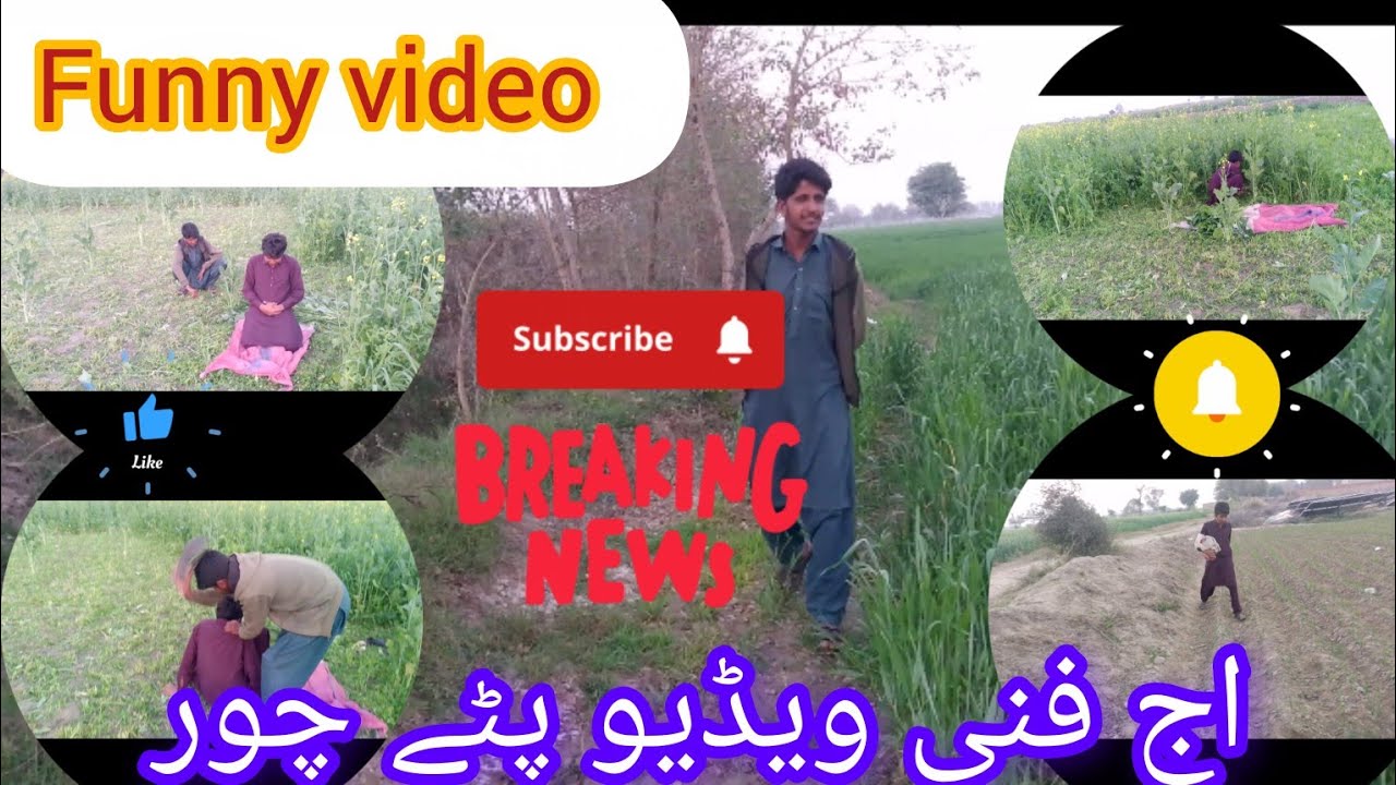 Funny video🌾🌾🌾 پٹھے چور 🤣🤣🤣🤣