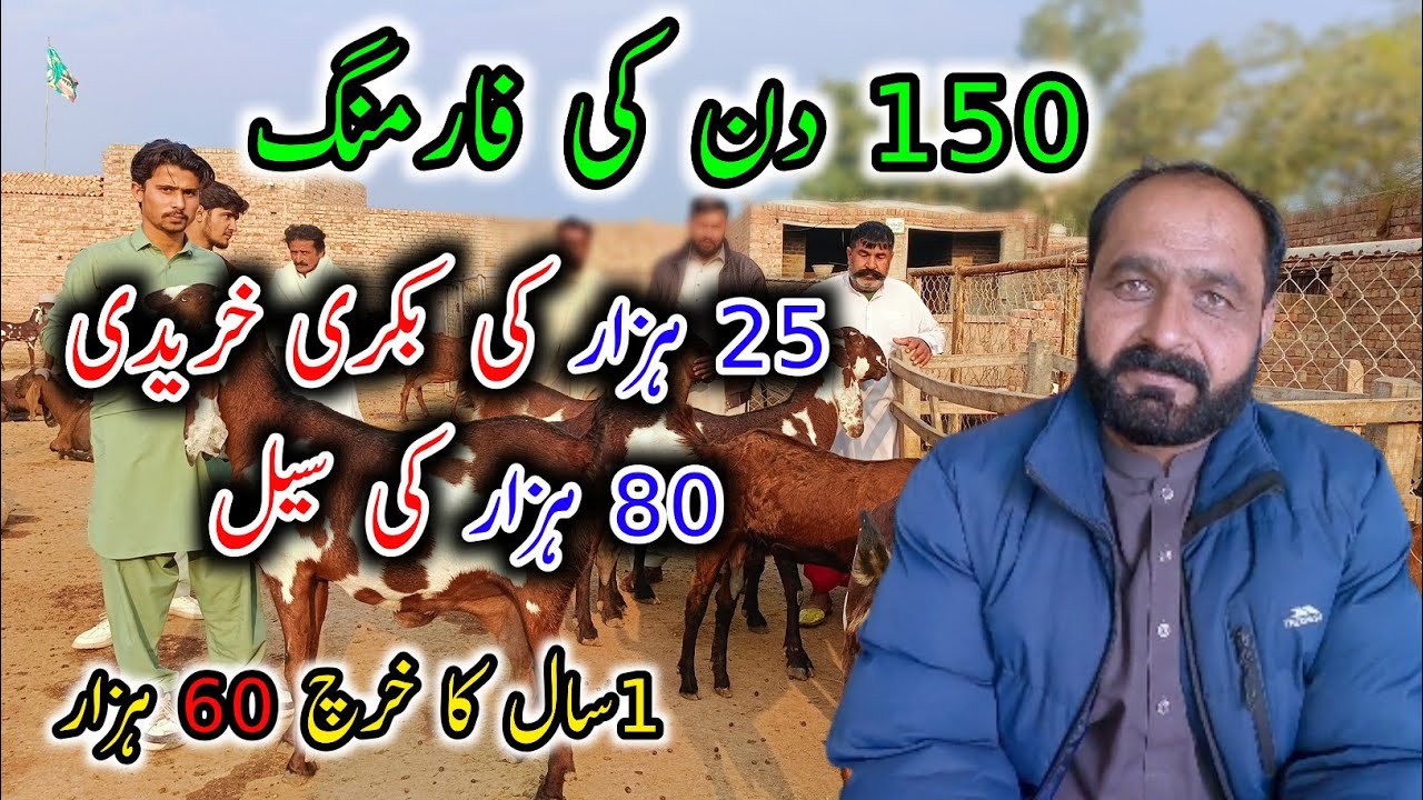 150 DAY's Goat Farming Plan - Successful Goat Farming Model