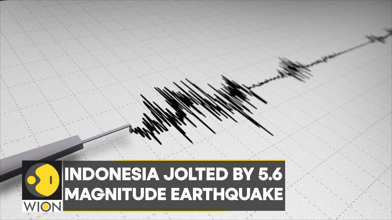 Indonesia jolted by 5.6 magnitude earthquake; Early reports say at least 20 killed| English News