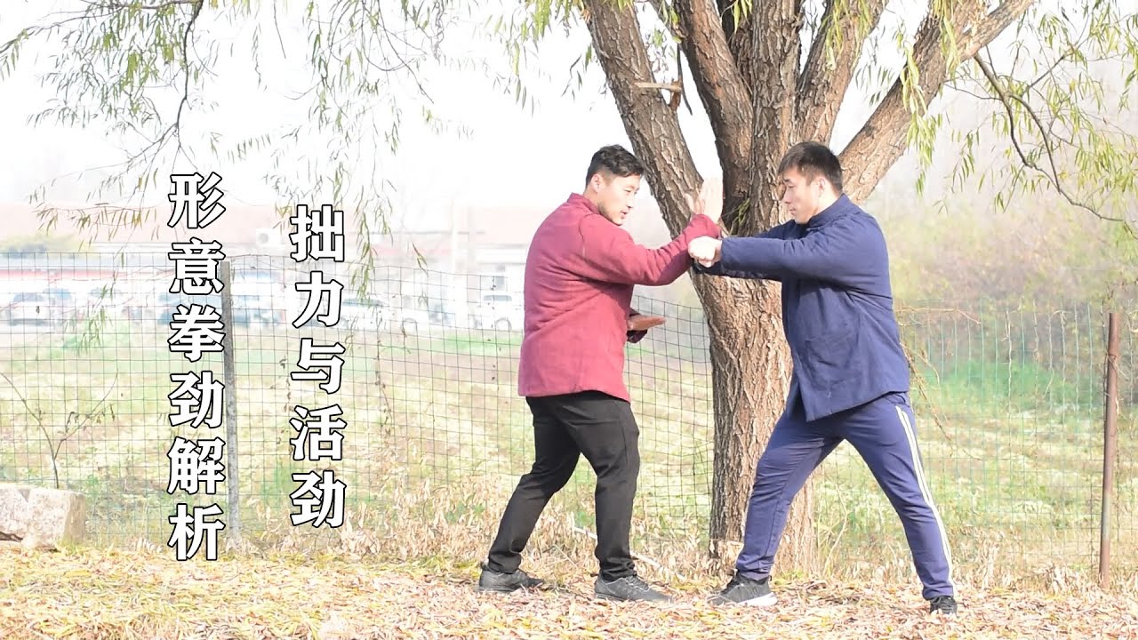 《逝去的武林》：拎起桔子兜打人，与形意拳整劲