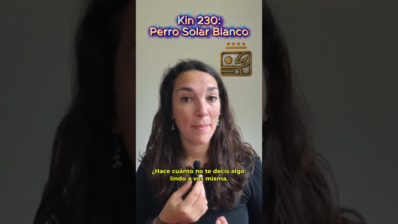 Kin 230: Perro Solar Blanco