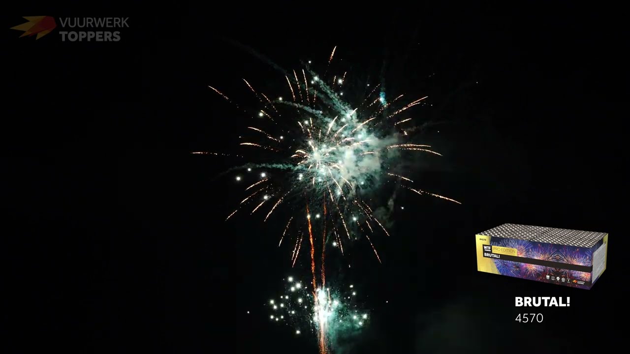 WTF! Brutal! - Busscher Vuurwerk Hengelo