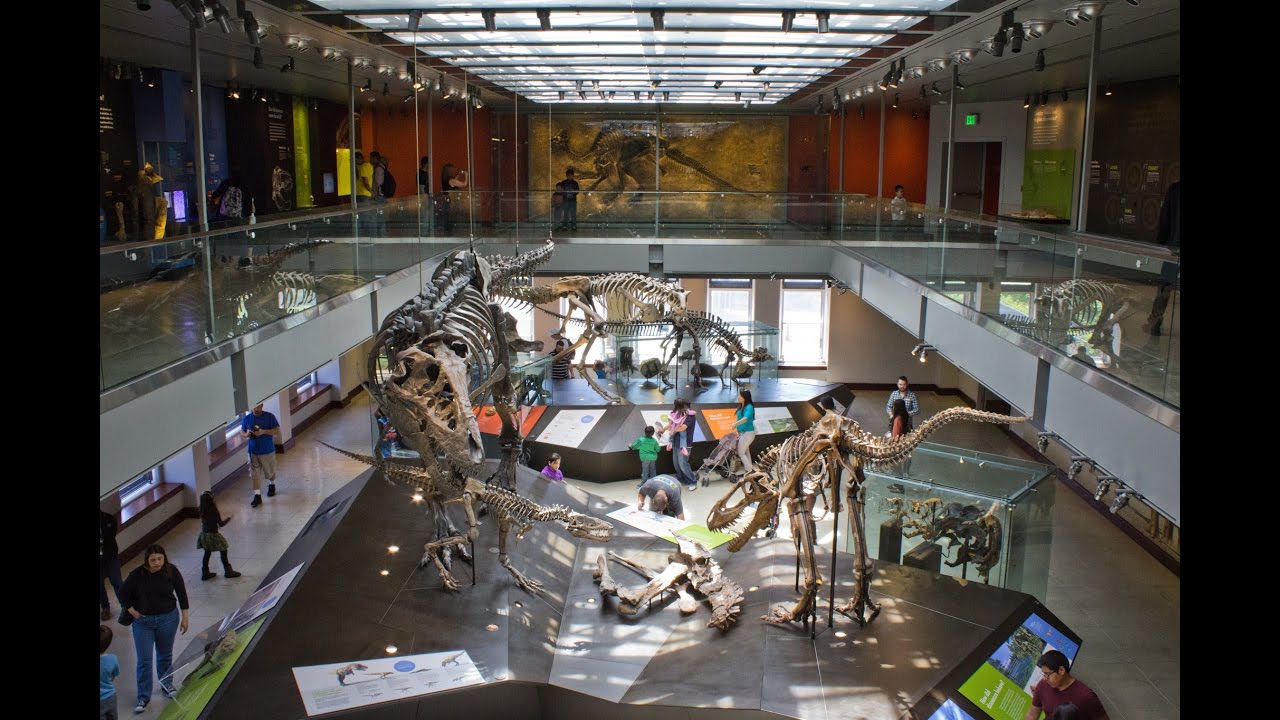 10 Best Science Museums In The World