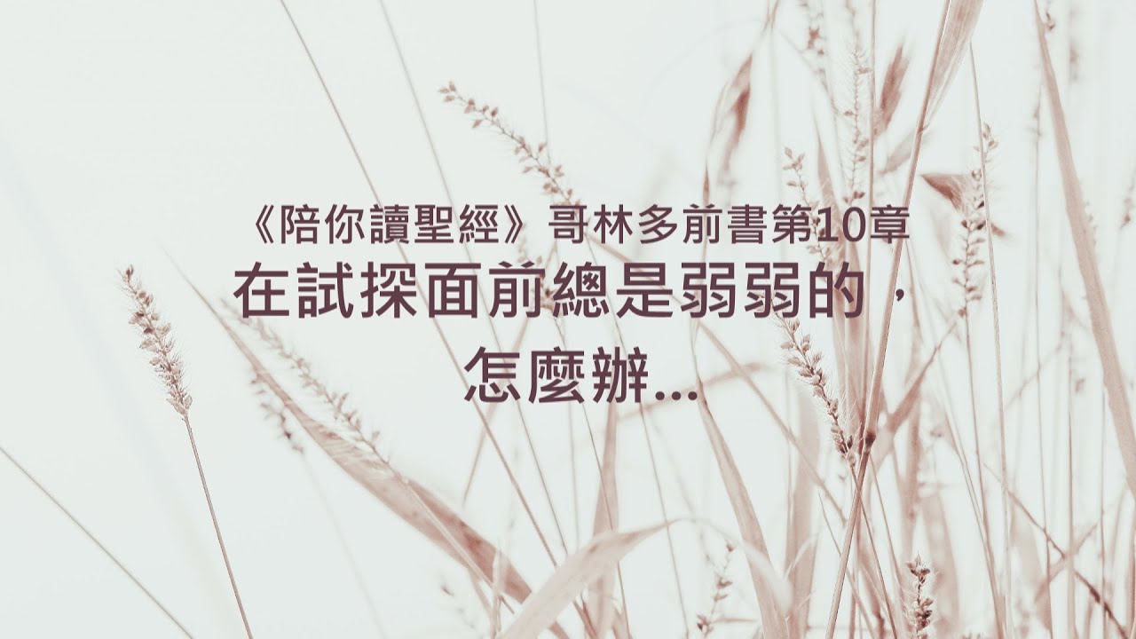 哥林多前書10章/陪你讀聖經《在試探面前總是弱弱的，怎麼辦...》