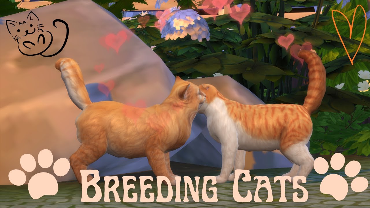 A Werewolf Breeds Cats for 5 Generations | Sims 4