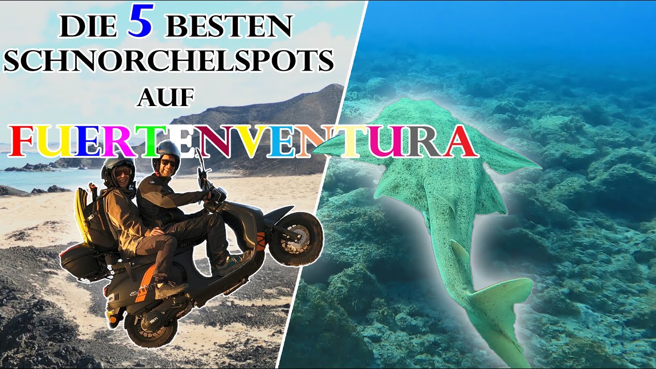 FUERTEVENTURA - Mit dem Roller zu den Besten Schnorchel Spots #Engelhai