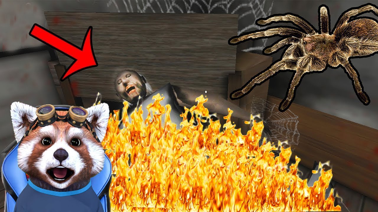 CASA PAIANJENULUI DIN GRANNY IN FLACARI ! *i-am dat foc*