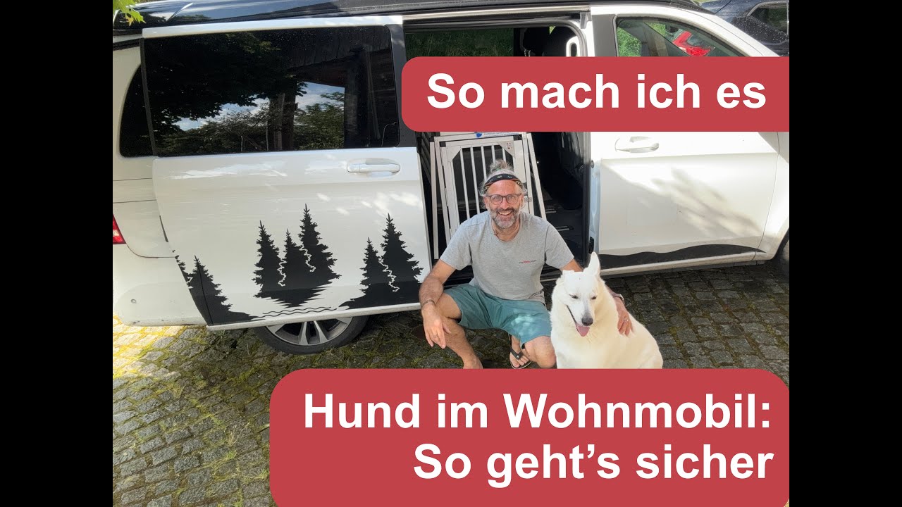 Hund im Wohnmobil - so geht´s sicher - Expertentipp Mädes und Nikki 🦮