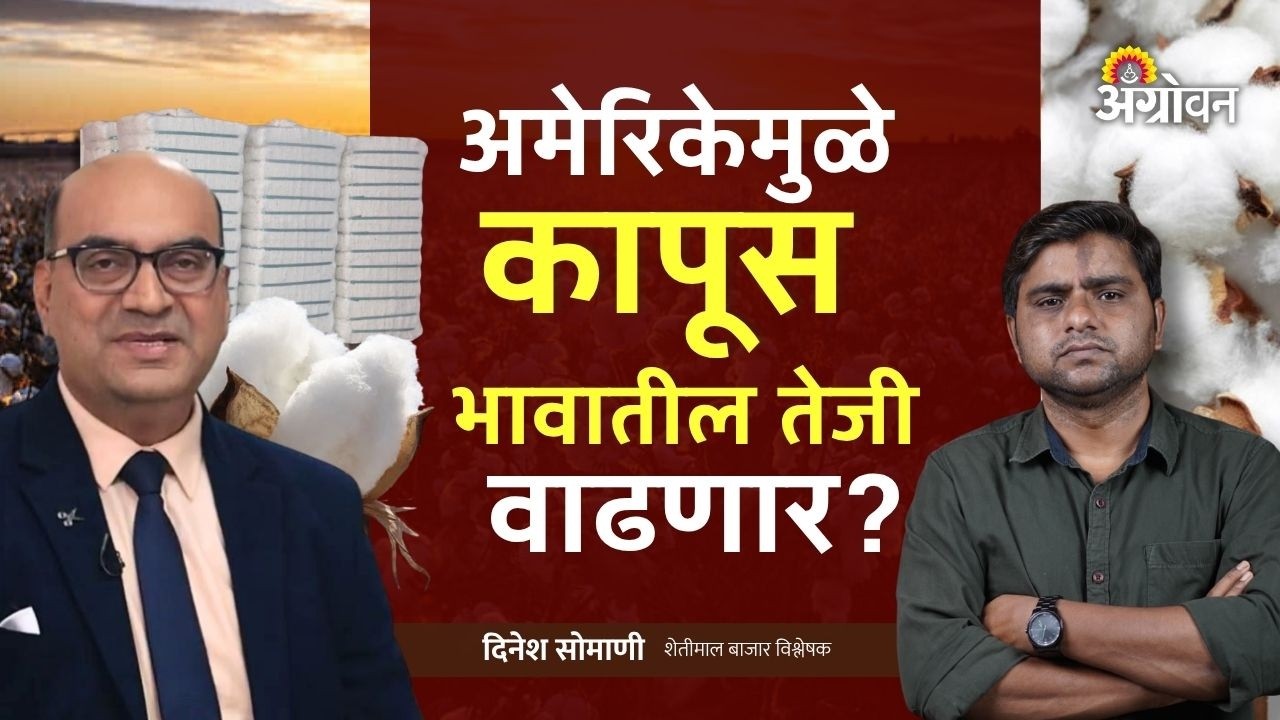 Tur, Soybean Rate: तुरीच्या भावात एप्रिल महिन्यात तरी तेजी येईल का? | Agrowon