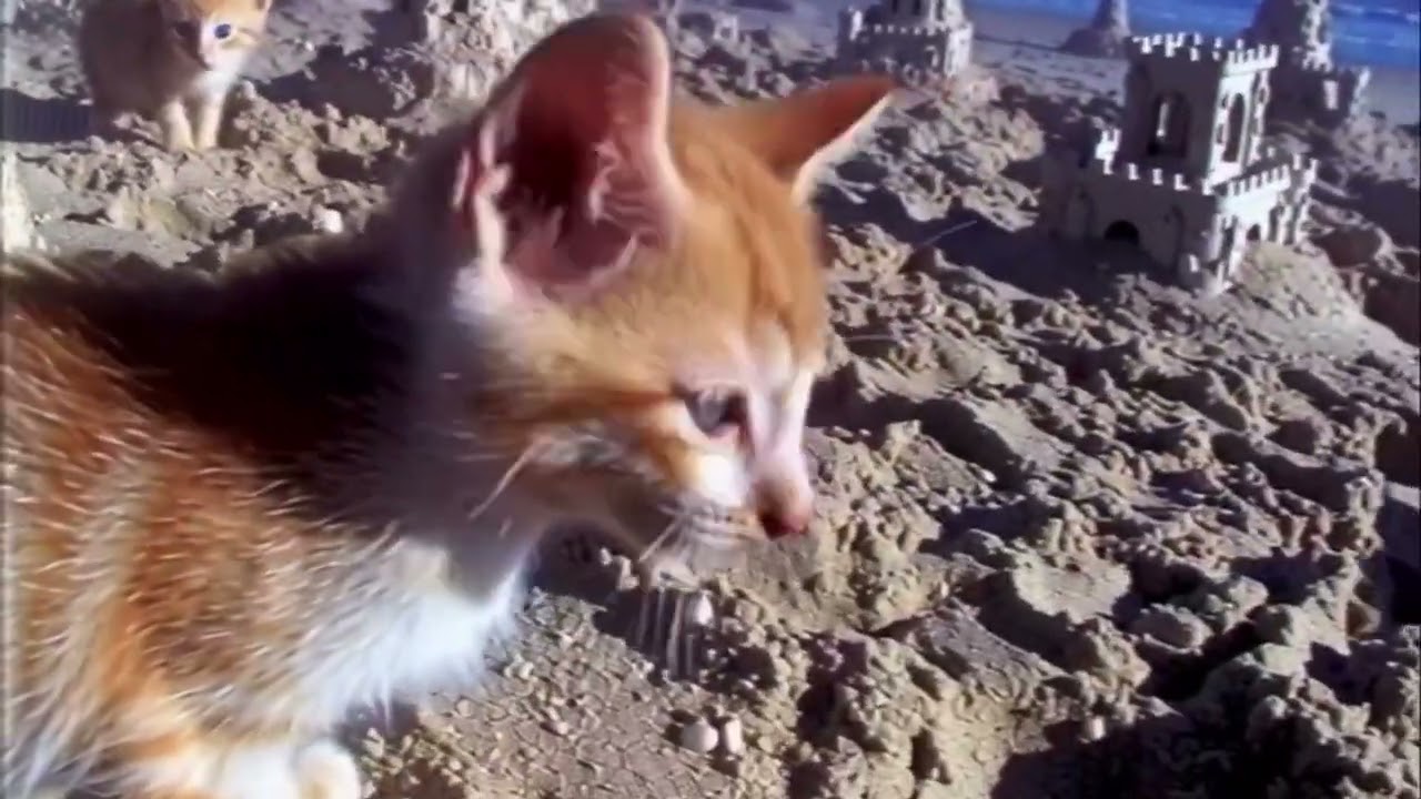 [Free] Atmospheric X Plugg Type Beat 