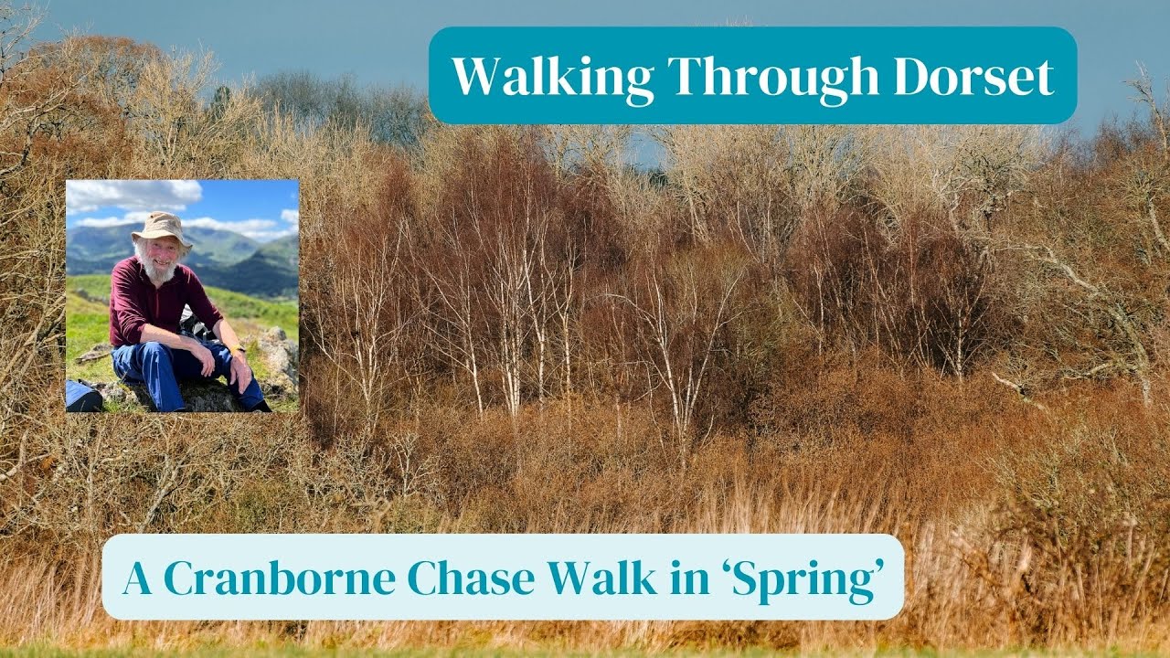Bloody battles, suicides, dog fights.....everyday country folk! A Cranborne Chase Walk in 'Spring'