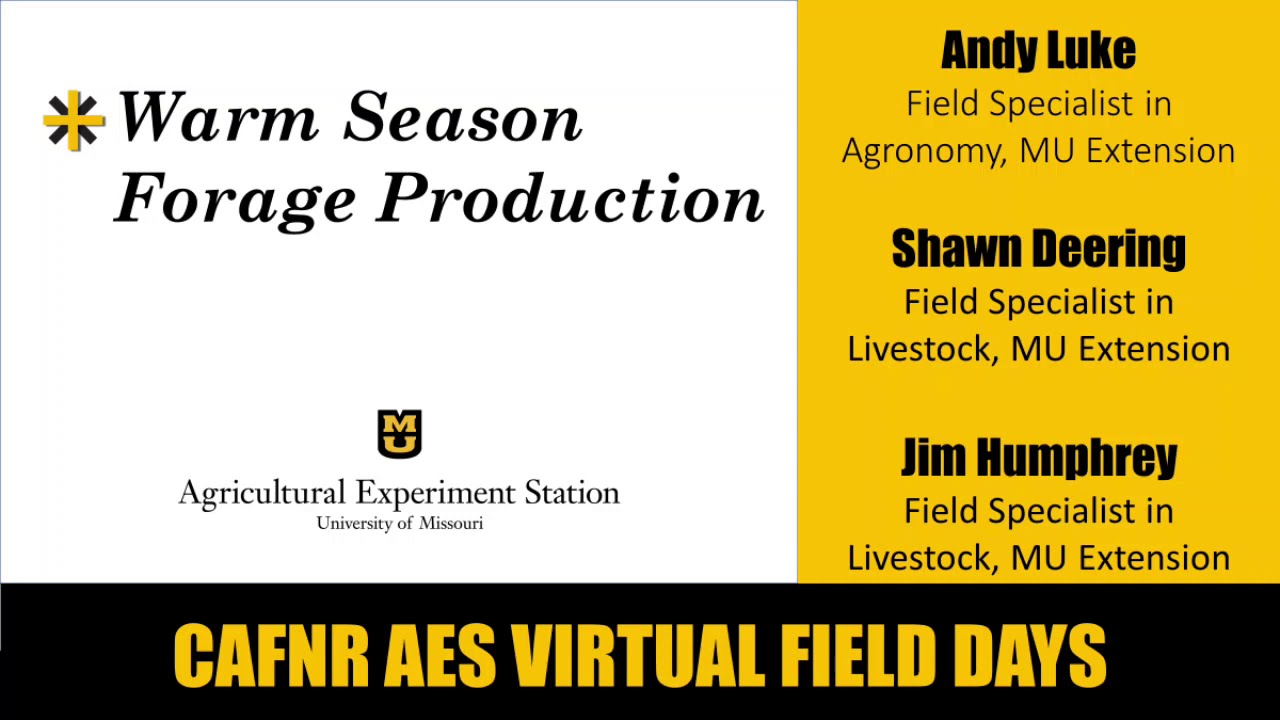Warm Season Forage Production - Andy Luke