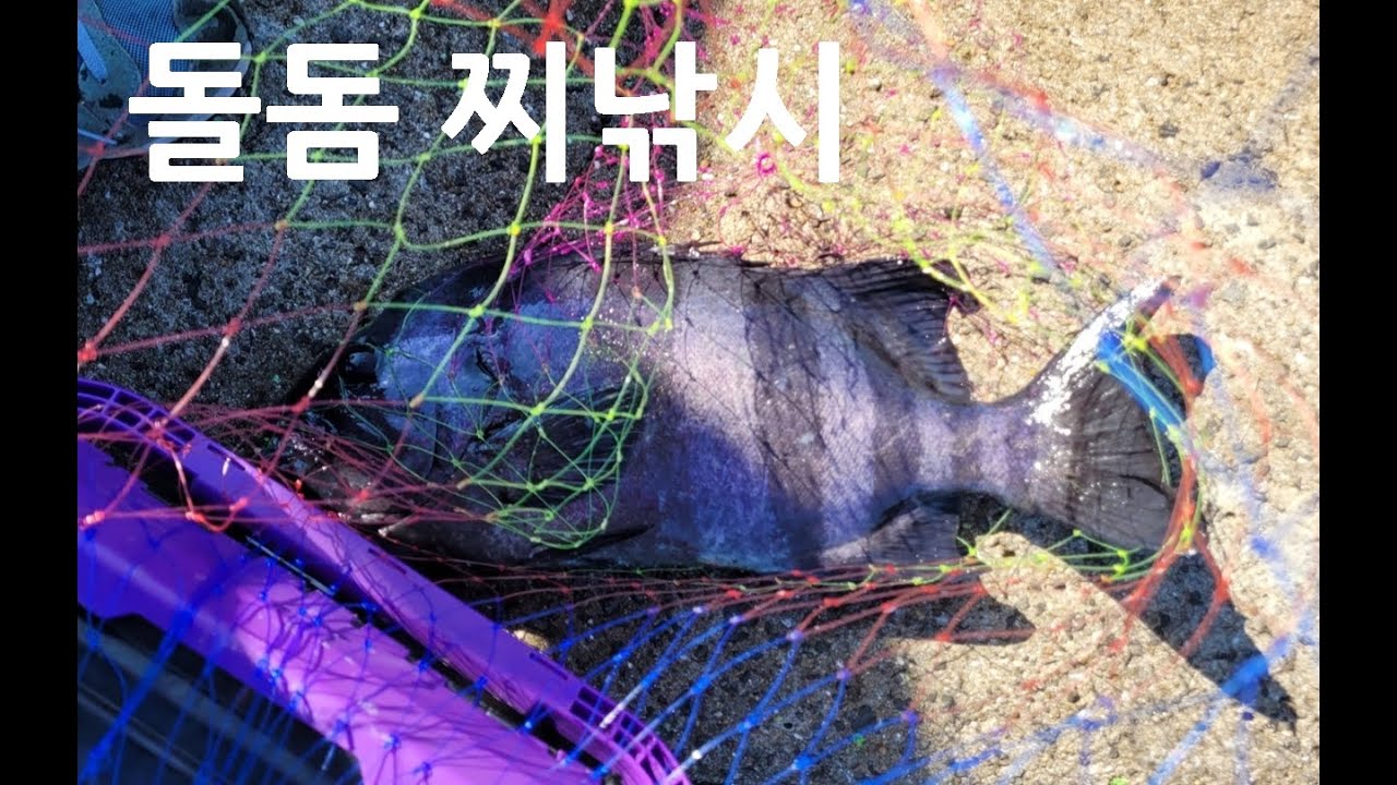 대물 돌돔을 만나는 또다른 방법! 돌돔 찌낚시를 소개합니다.