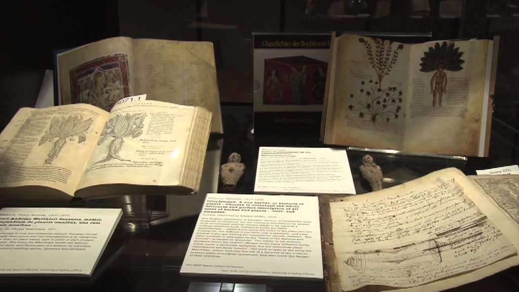 The pain, the pain: the history of anaesthesia