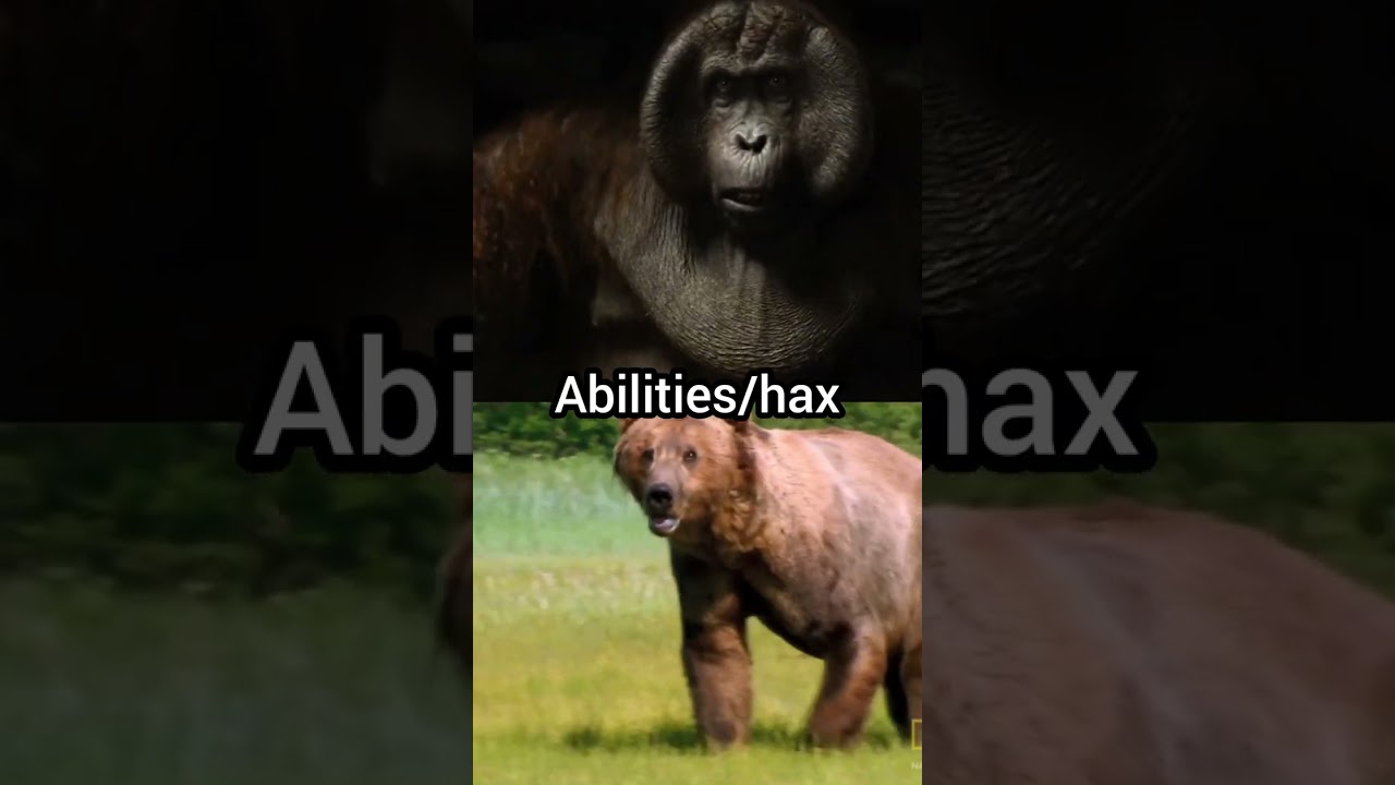 gigantopithecus blacki vs grizzly bear 