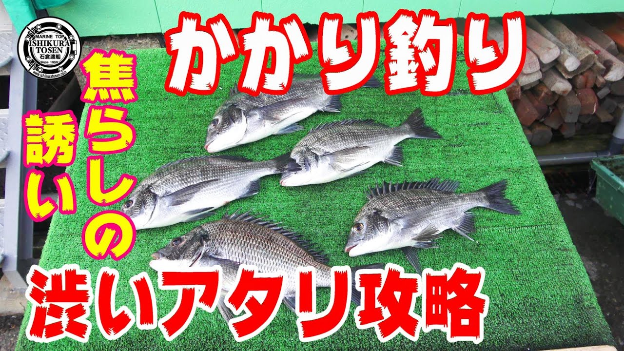 かかり釣り・渋いアタリ攻略【焦らしの誘い】