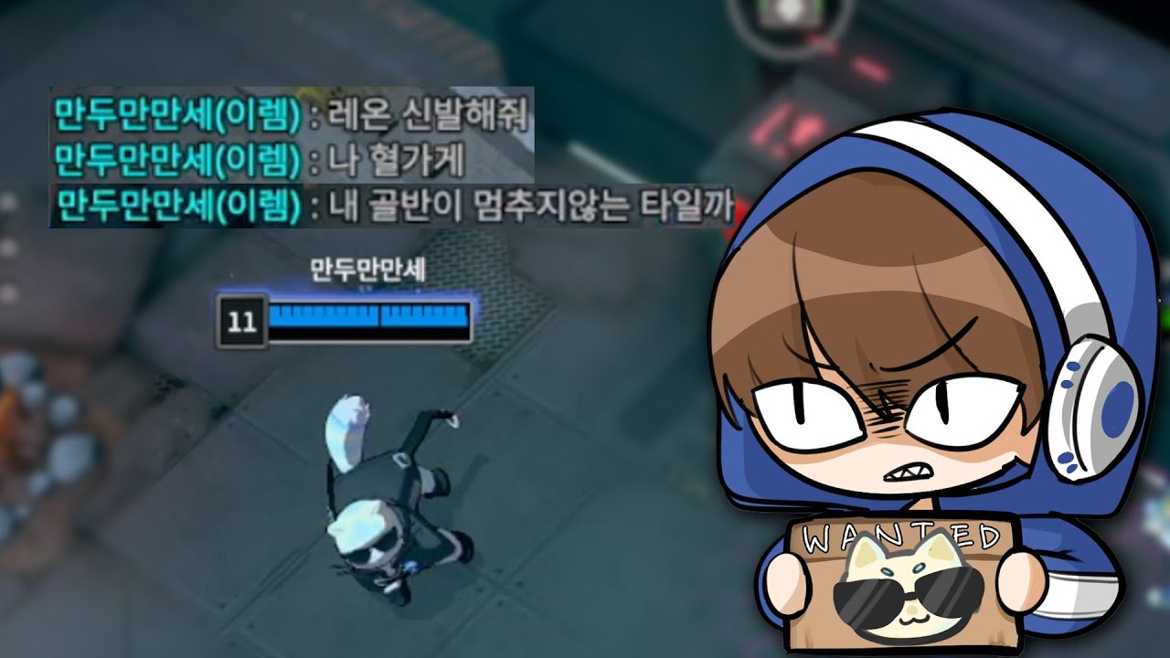 이 고양이를 찾습니다