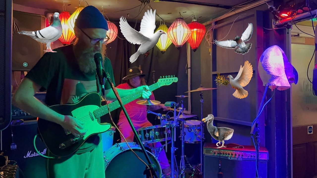 The Dodo Appreciation Society - 'Pigeons & Doves'