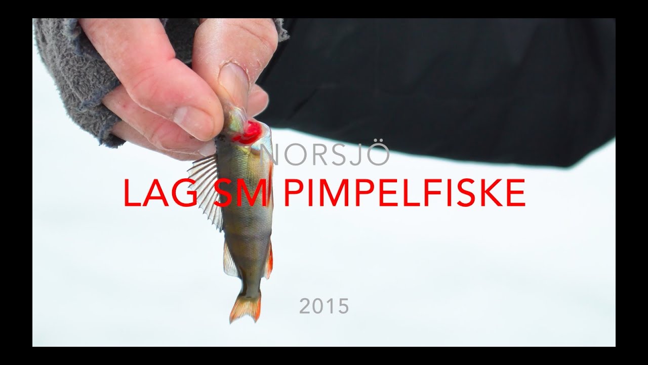 pimpelfiske SM Norsjö 2015
