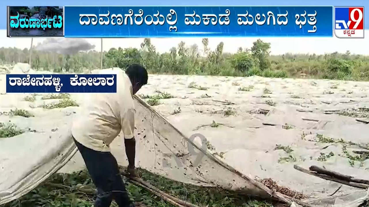 Karnataka Rain Havoc: ಜಿಲ್ಲೆ ಜಿಲ್ಲೆಯಲ್ಲೂ ಅಬ್ಬರದ ಮಳೆ, ಭಾರೀ ಮಳೆಯಿಂದಾಗಿ ಮನೆಗಳು ಧ್ವಂಸ, ಬೆಳೆ ಸರ್ವನಾಶ