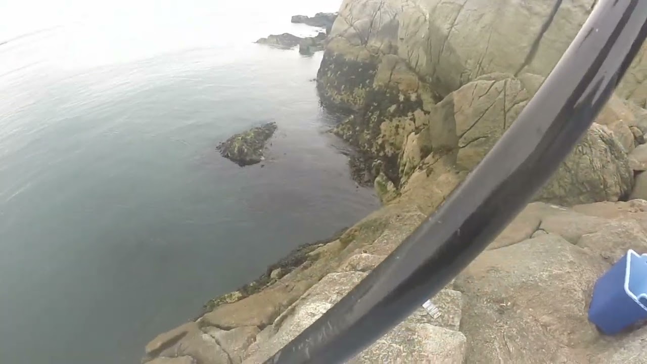 mackerel fishing ireland