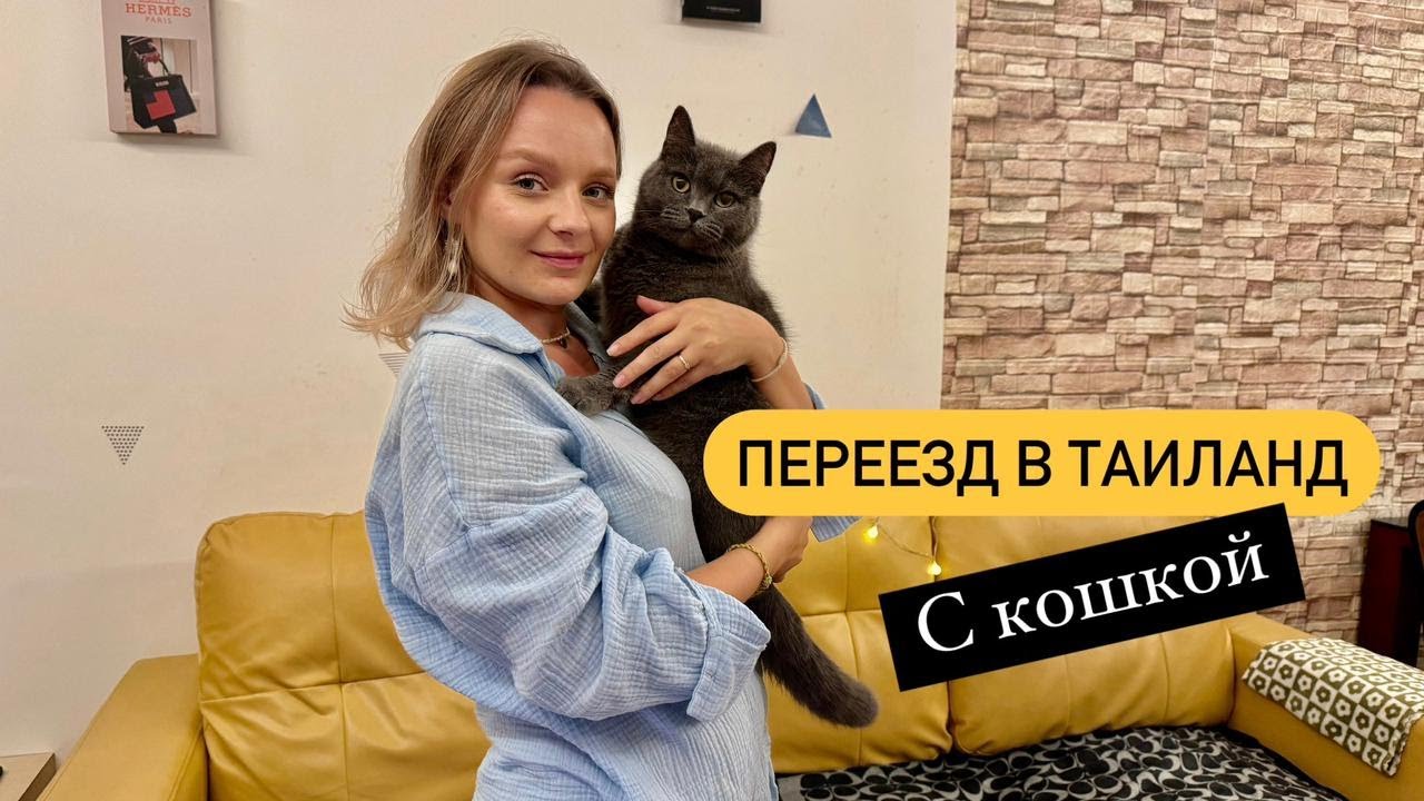 Переезд в Таиланд с питомцем | Перелёт в Таиланд с кошкой.
