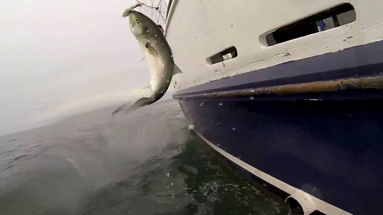 Fishing on the Miss Montauk