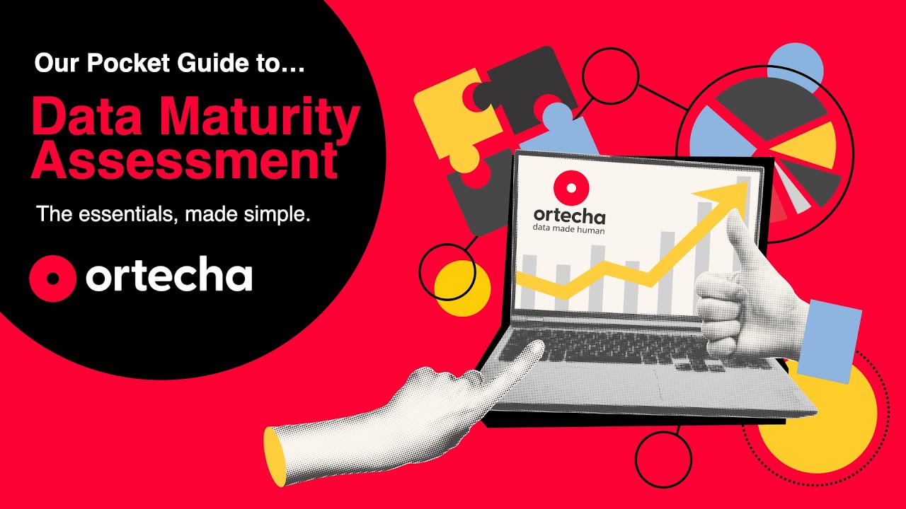 Ortecha's Pocket Guide to DAMA®