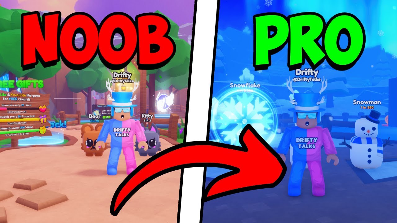 I WENT FROM NOOB TO PRO IN PET QUEST! (Roblox)