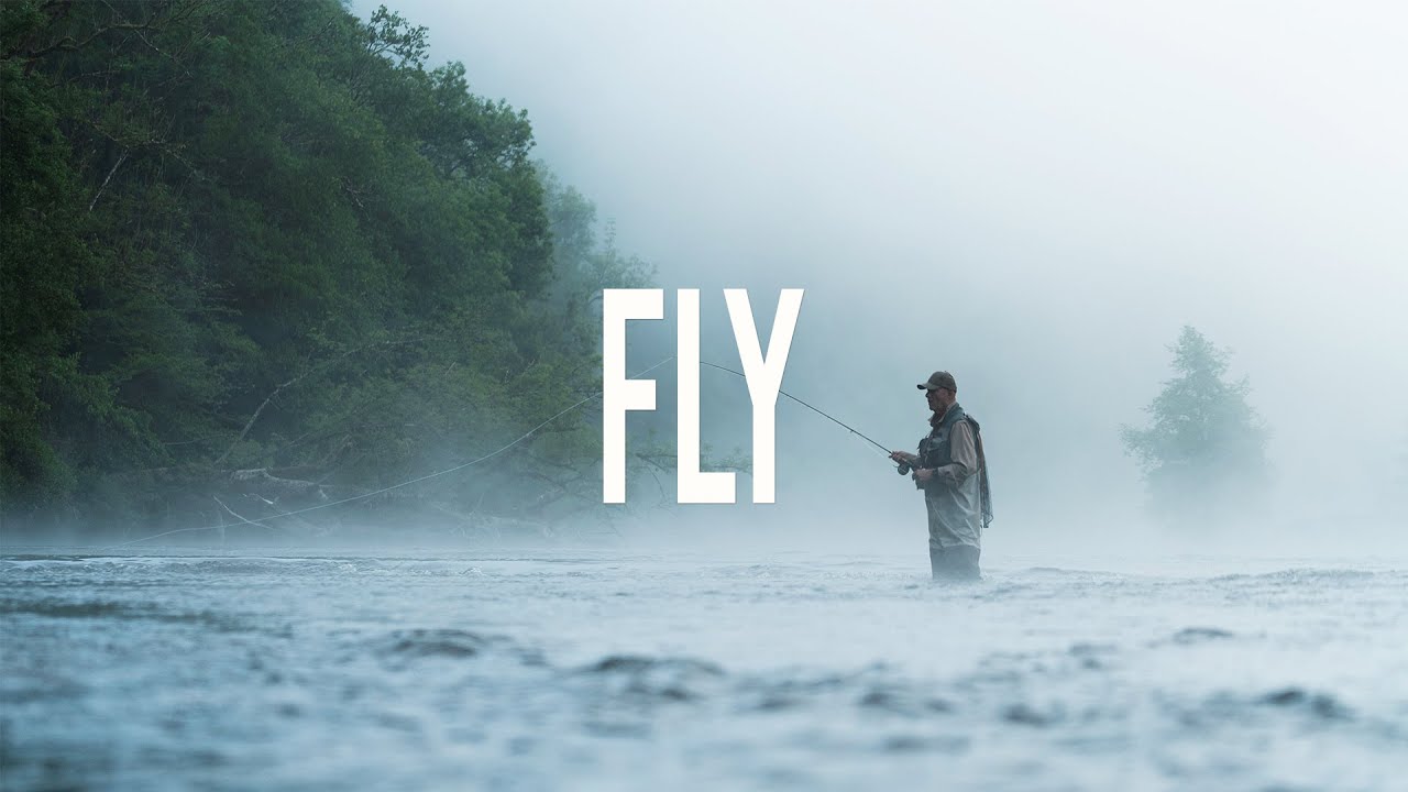 FLY | Le Film