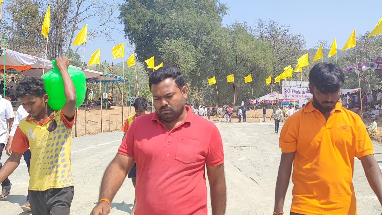 మహానంది 6పళ్ళు  విభాగంలో 8వ జత బిరం బుల్స్