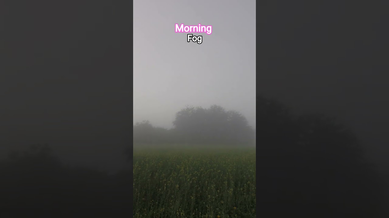 #fog