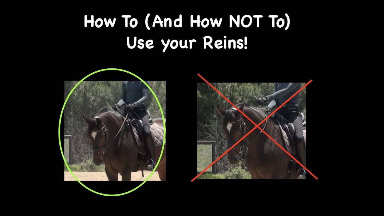 How To (and How Not to) Use Your Reins