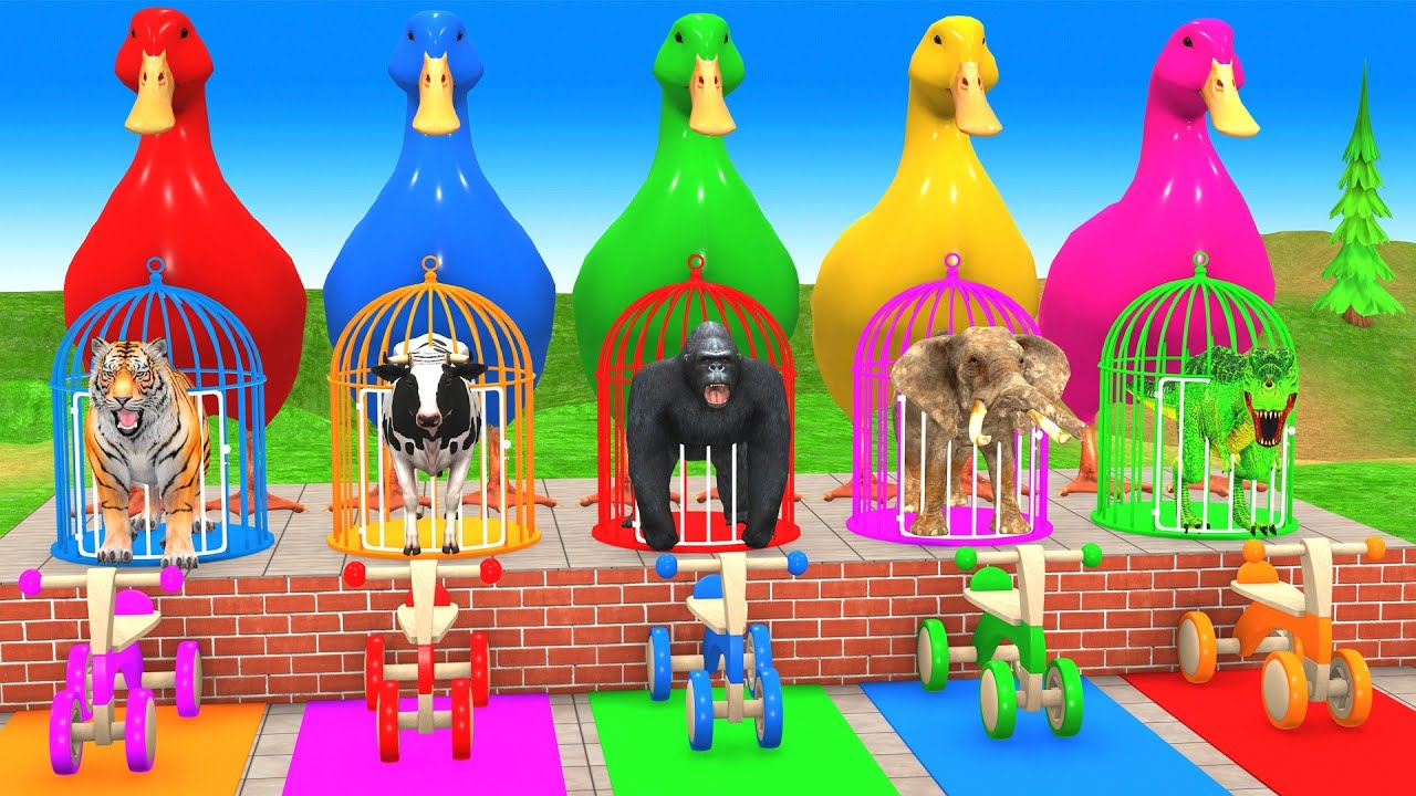 Long Slide Game with Cow Elephant Gorilla Hippopotamus Tiger 3d Animal Game Funny 3d Animals