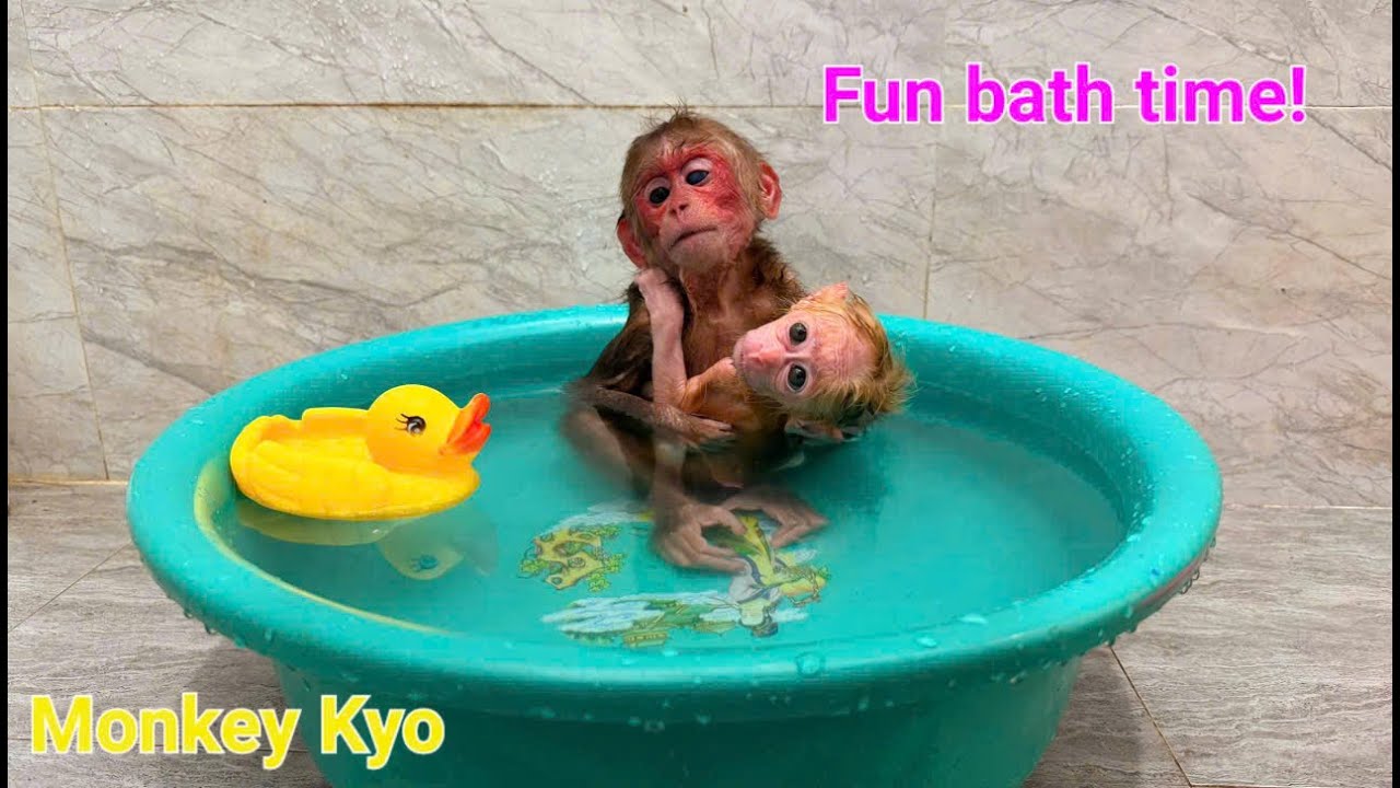 So cute! Monkey Kyo gives the little monkey a bath &mdash; In the most unexpected way!